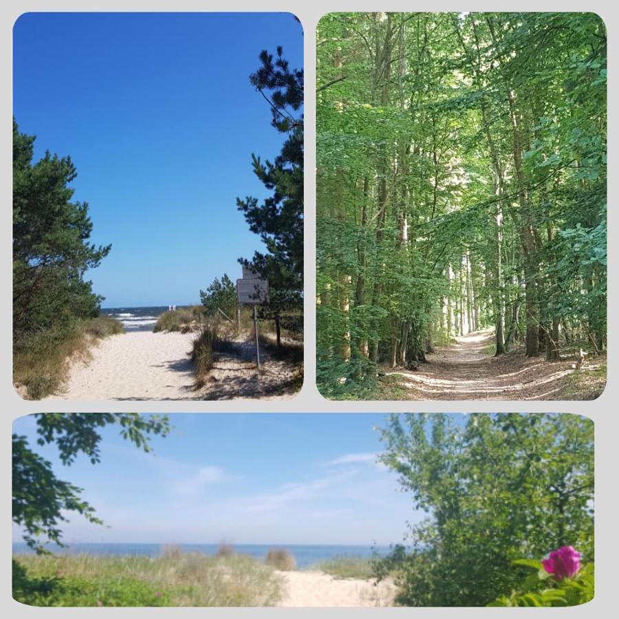 Ostseesternchen Zempin Luaran gambar