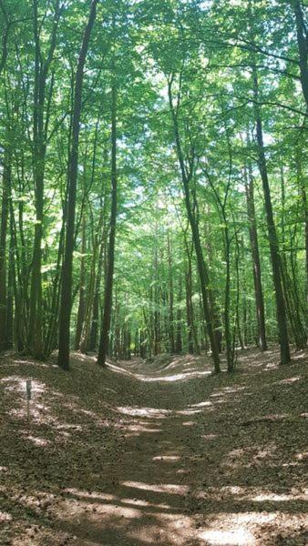 Ostseesternchen Zempin Luaran gambar