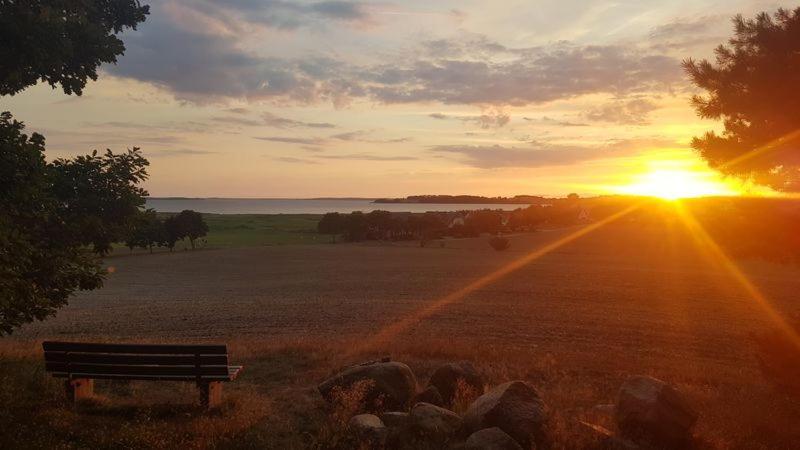 Ostseesternchen Zempin Luaran gambar